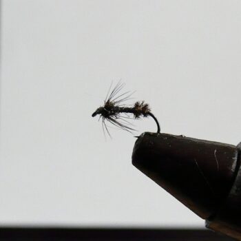 Mravec - koncom leta nenahraditeľná suchá muška na lipne, pstruhy i jalce