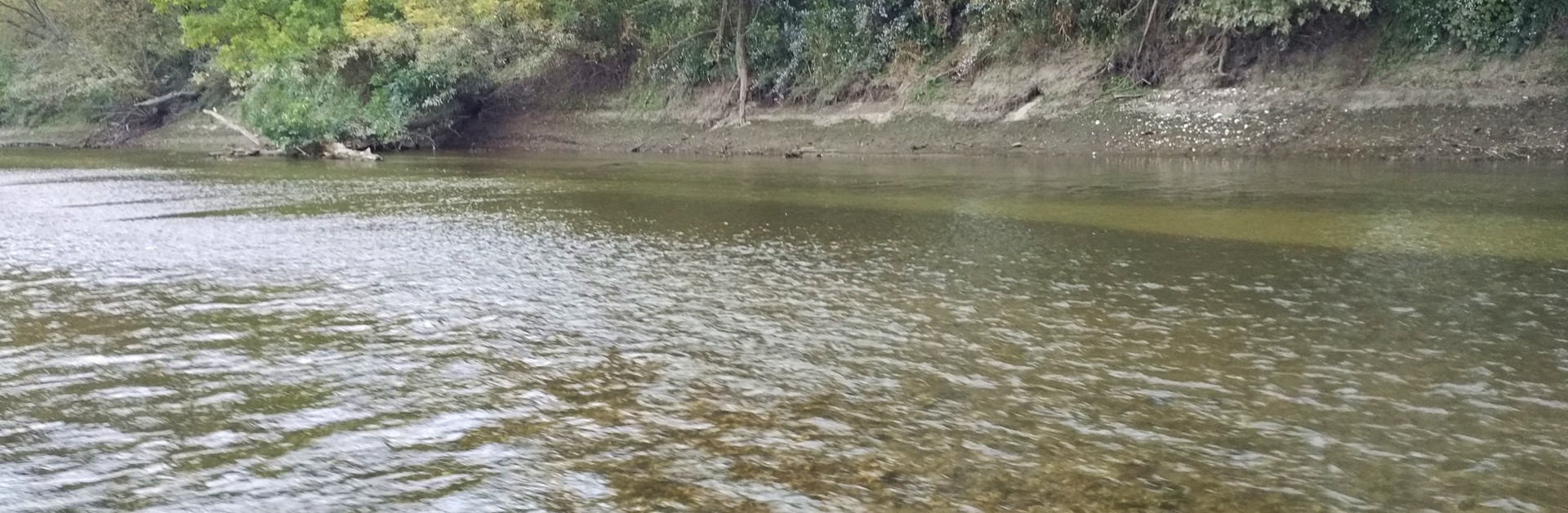 Rieka Morava - nízky stav vody