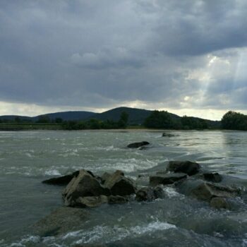 Ostrohy na Dunaji pod Devínom majú pôvod 
v 19. storočí. Ich cieľ bol spomaliť rýchlu vodu v zregulovanom toku.