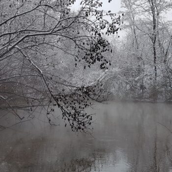Fenolové jazierko v zime - príroda si vždy vie nájsť spôsob byť krásna