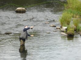 Bešeňovský Váh okolo roku 2010
