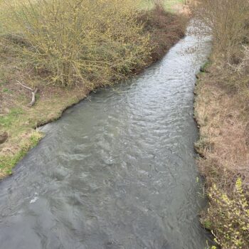 Dudváh nad lesíkom