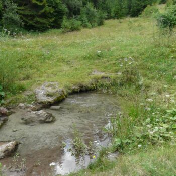 Jazierske travertíny, priamo vo výveroch sa preháňajú pstruhy