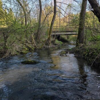 Tu pri prítoku vlásočnice som zbadal malého potočáka