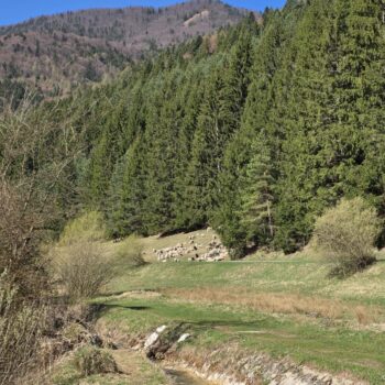 Z tejto fotky počuť Liptov 