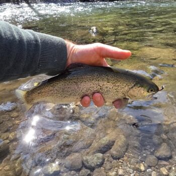 Dúhačikov bolo vo vode neúrekom a brali s nadšením aj tretí deň sezóny
