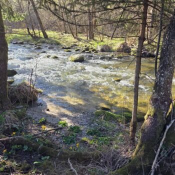 "Okno" do Revúcej - možnosť nahodiť počas zákazu brodenia