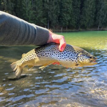 S Čutkovom som si rozumel stále viac a tak prišli aj väčšie ryby