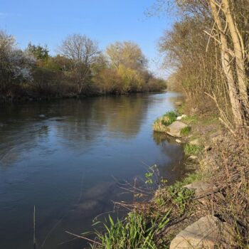 Už to konečne začína pripomínať jar