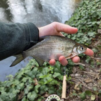 Pleskáče mali dnes azda najlepšiu náladu