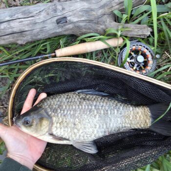 S karáskami je to hop alebo trop, buď majú náladu a idú jeden za druhým, alebo to je drina