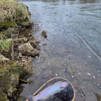 Prvá ryba sezóny 2026