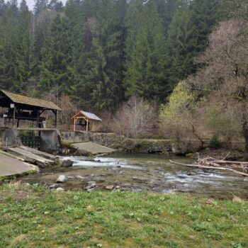 Jedno zo stavidiel, ktoré sa dalo dobre chytať aj "suchou nohou"