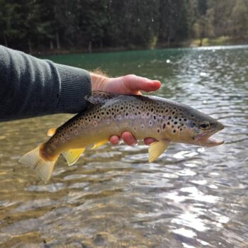 Zábery boli jemné, mnohé som necítil a sekal podľa očí alebo intuície