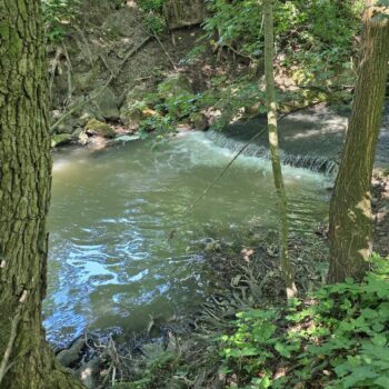 Blava pod stavidlom