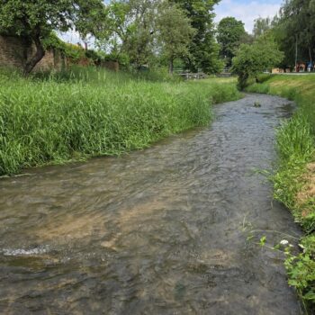 Domanižanka v Považskej Bystrici