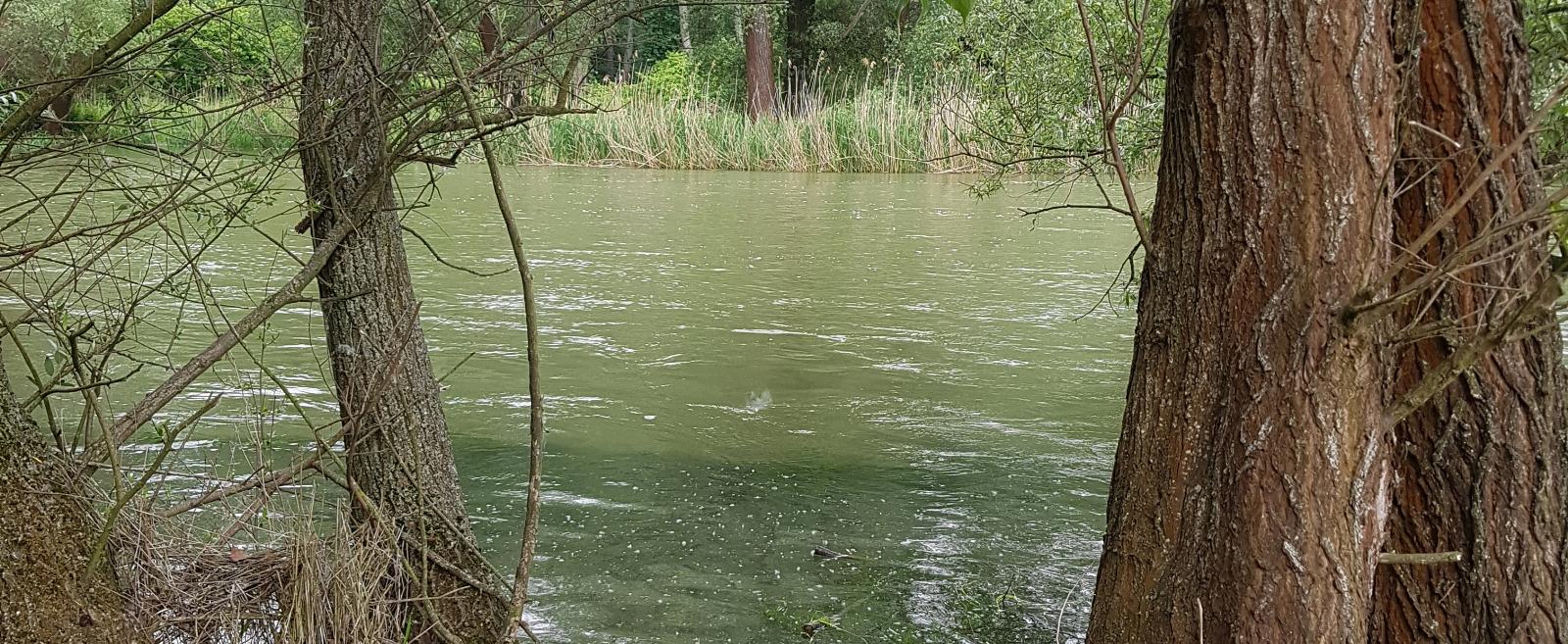 Inundácia Dunaja - pod brehom