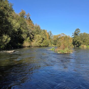 Vltava č. 27 pod Rožmberkom